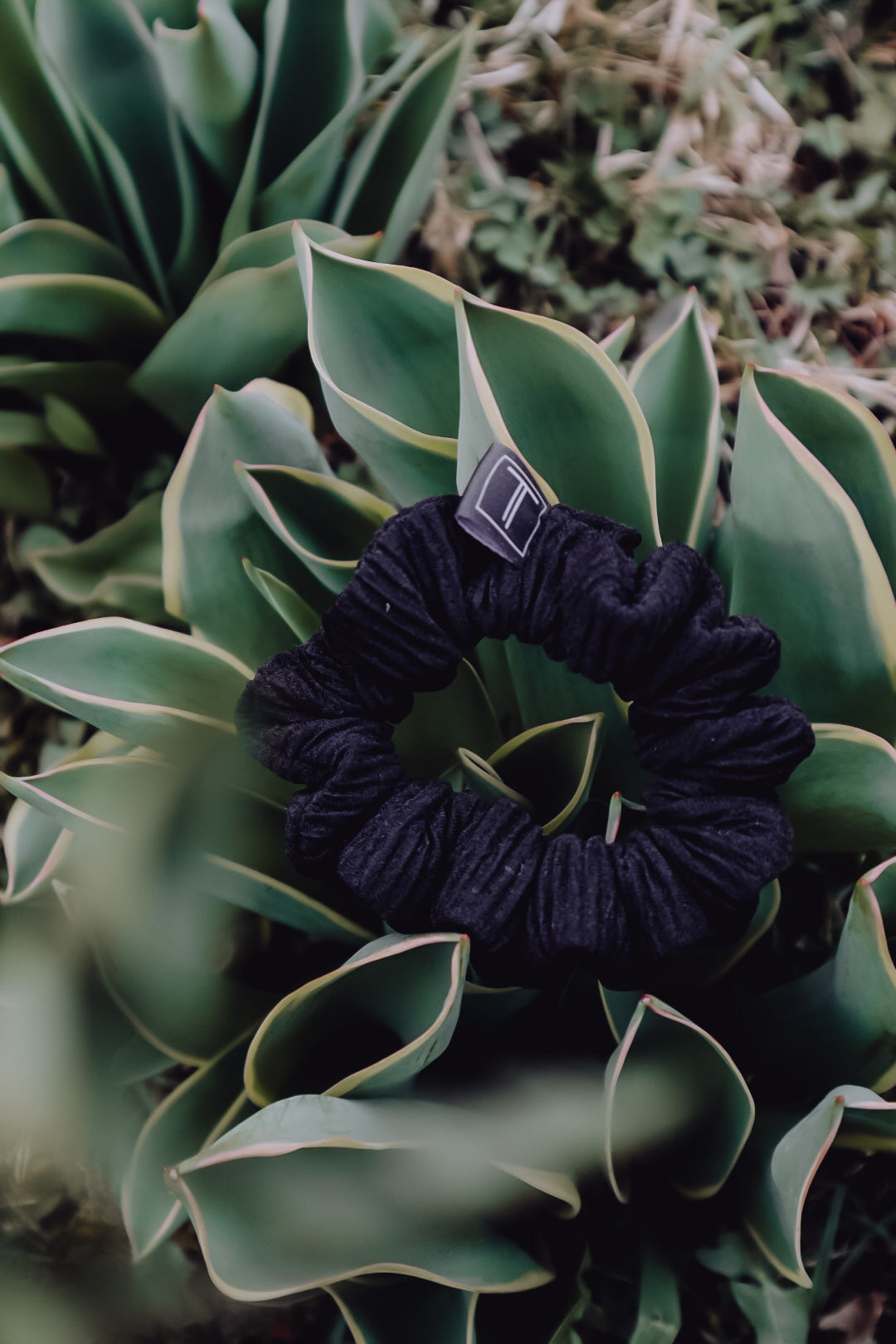 RIPP MINI SCRUNCHIES