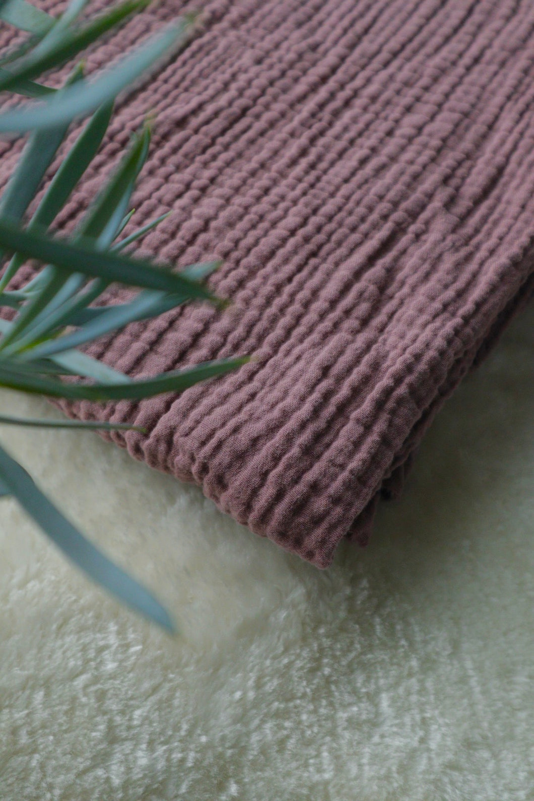 SCHAL MUSSELIN ALTMAUVE